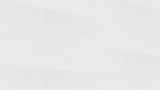 Decorpanelen MeisterPanels. terra DP 250 White ash 20098