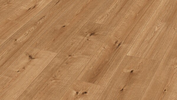 Sol design MeisterDesign. next DD 500 S Hill Oak 07118