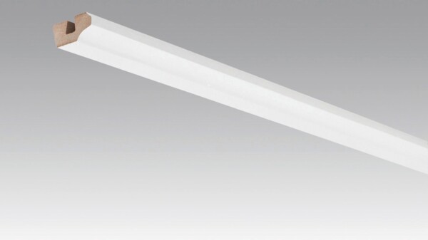 Ceiling edging Plain white gloss DF 00324